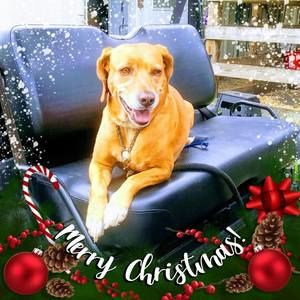 Meet your Posher, Jack